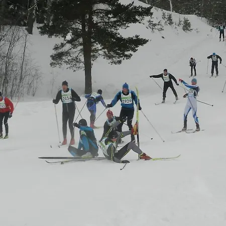 Dom wakacyjny Pohlametsa House