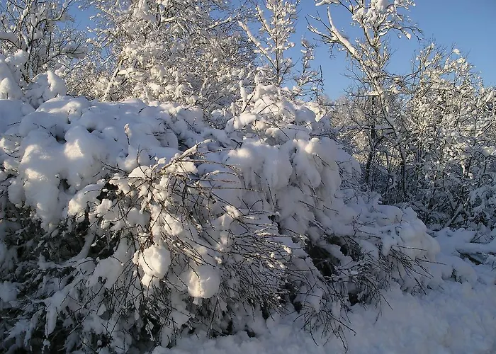 Pohlametsa House Nupli