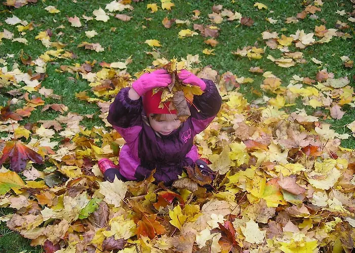 Dom wakacyjny Pohlametsa House Nupli