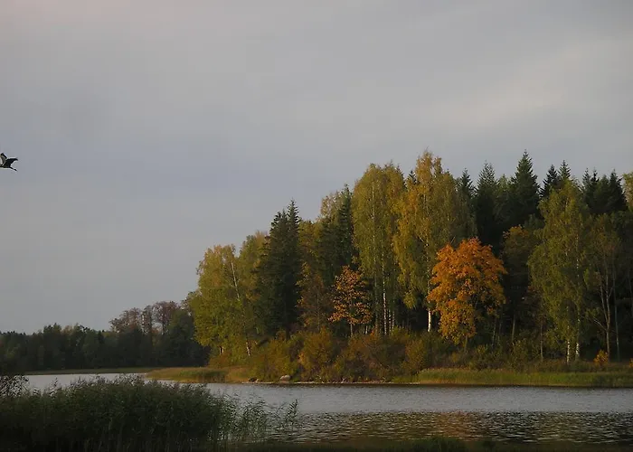 Dom wakacyjny Pohlametsa House *