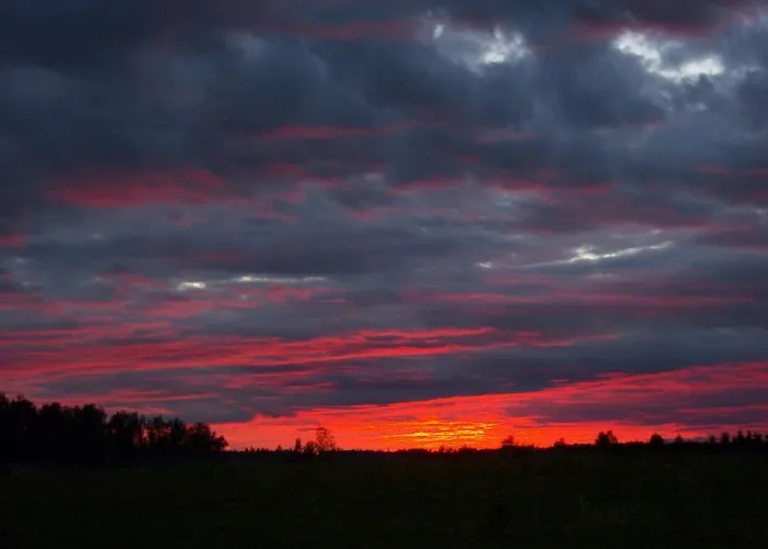 Dom wakacyjny Pohlametsa House Nupli